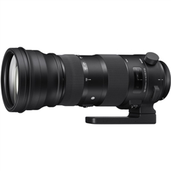 Sigma 150-600mm f/5-6.3 DG OS HSM Sport Lens Nikon