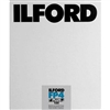 ILFORD FP4 8X10" (25 SHEETS)