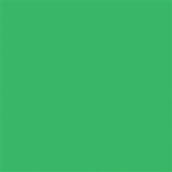 ROSCO CHROMA GREEN #389