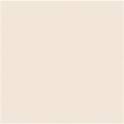 ROSCO 1/8 STRAW #3444