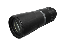 Canon RF 800mm f/11 IS STM Lens