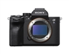 Sony Alpha A7S III Mirrorless Digital Camera (Body Only)