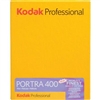 KODAK PORTRA 400 4X5 (10 SHEETS)