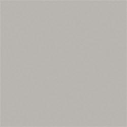 ROSCO GREY LIGHT #97
