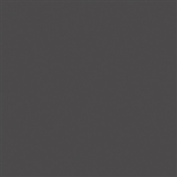 ROSCO POLARIZER 7300 17"X20"