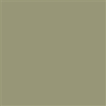 ROSCO PLUS GREEN 1/4 TOUGH #3316